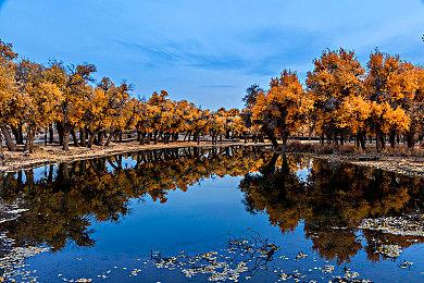 《死或生：女神假期》露娜生日活动 性感服装又来啦